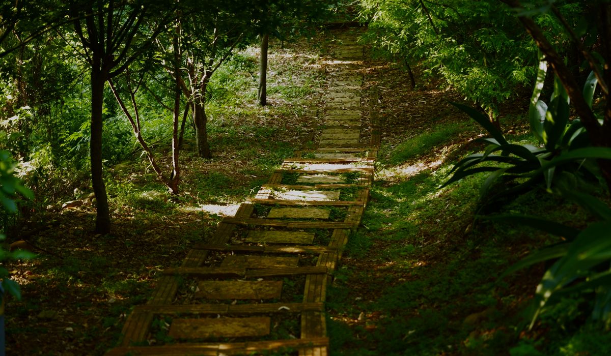Tracing the Route of a Lost Railway Line